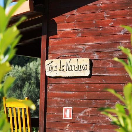 Villa Ramiro Celorico De Basto Exterior foto